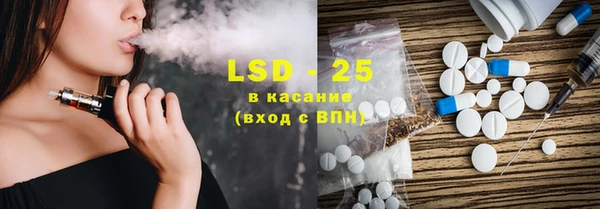 гидра Вязьма