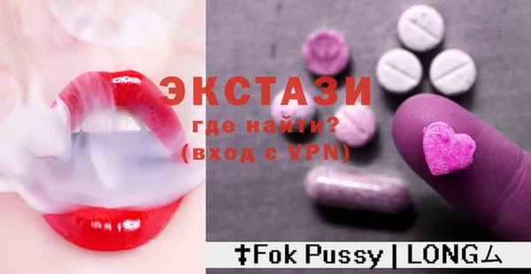 гидра Вязьма