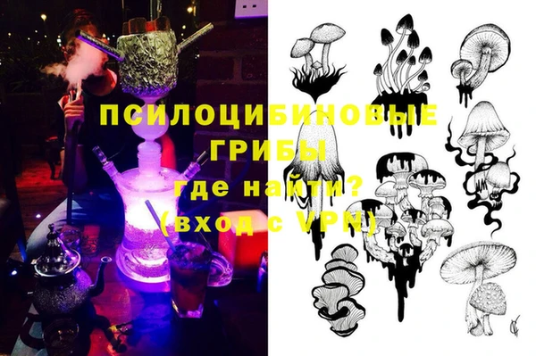 гидра Вязьма