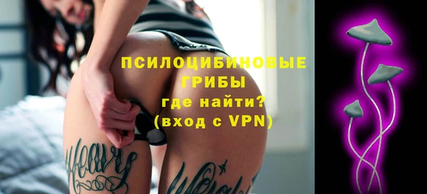гидра Вязьма