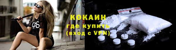 гидра Вязьма