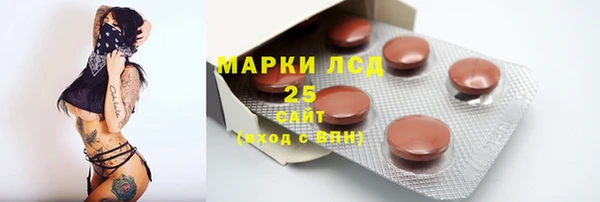 гидра Вязьма