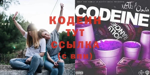гидра Вязьма