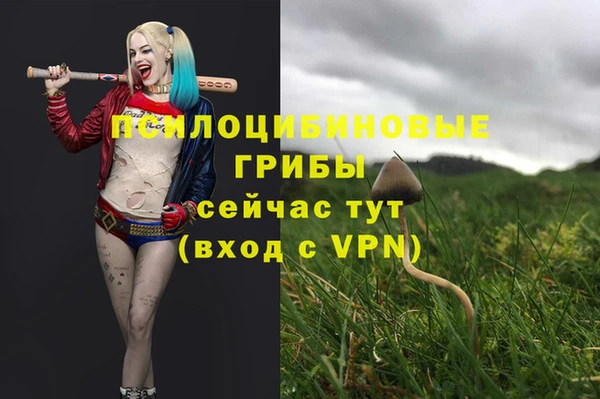 гидра Вязьма