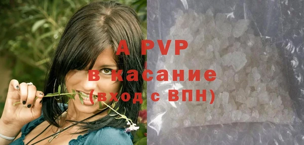гидра Вязьма