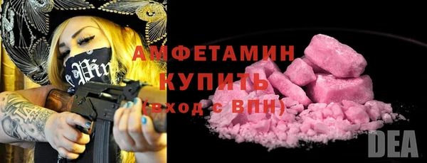 гидра Вязьма