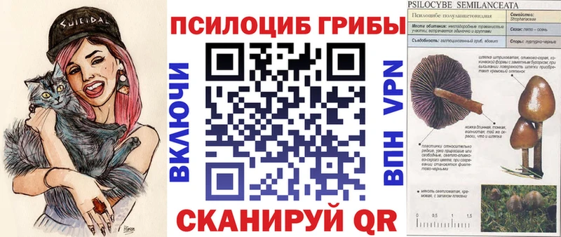 Купить закладки  Корсаков  Псилоцибиновые грибы Psilocybe 